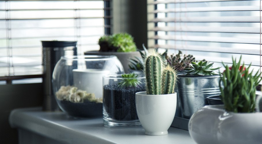 home pots