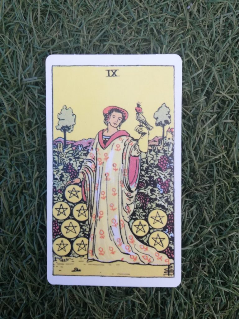 9 pentacles