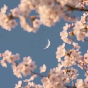 Νέα Σελήνη & Ημερήσιο Ωροσκόπιο 21 Οκτωβρίου 2025: Ώρα για νέα αρχή – Τι αποκαλύπτει για κάθε ζώδιο!