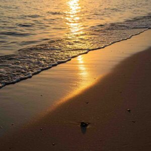 Ημερήσιο Ωροσκόπιο Σάββατο 6 Δεκεμβρίου 2025: Τι αποκαλύπτει η ενέργεια της ημέρας για επικοινωνία, ίαση και νίκες;