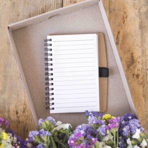 29 Ιανουαρίου 2026 και οι Κρυφές Τάσεις της Ημέρας: Τι Σε Ευνοεί και Πού Χρειάζεται Προσοχή