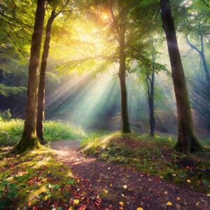 12 Φεβρουαρίου 2026 και το Μυστικό Μήνυμα της Ημέρας: Η Κάρτα που Αποκαλύπτει Τι Δεν Είναι Καθόλου Τυχαίο