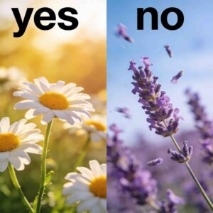 22 Φεβρουαρίου 2026 Αστρολογική Πρόβλεψη: Η Ιερή Ευθυγράμμιση και η Κάρτα της Ημέρας που Ξυπνά Αγάπη και Εσωτερική Ισορροπία