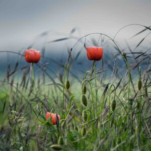 5 Φεβρουαρίου 2026 αποκαλύψεις της μοίρας: Το ημερήσιο ωροσκόπιο που δείχνει τι αλλάζει σε κάθε ζώδιο