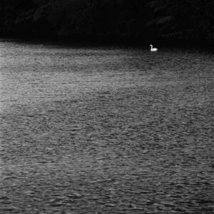 7 Φεβρουαρίου 2026 Κάρτα Ημέρας: Το μήνυμα της εσωτερικής μεταμόρφωσης που αλλάζει τα πάντα