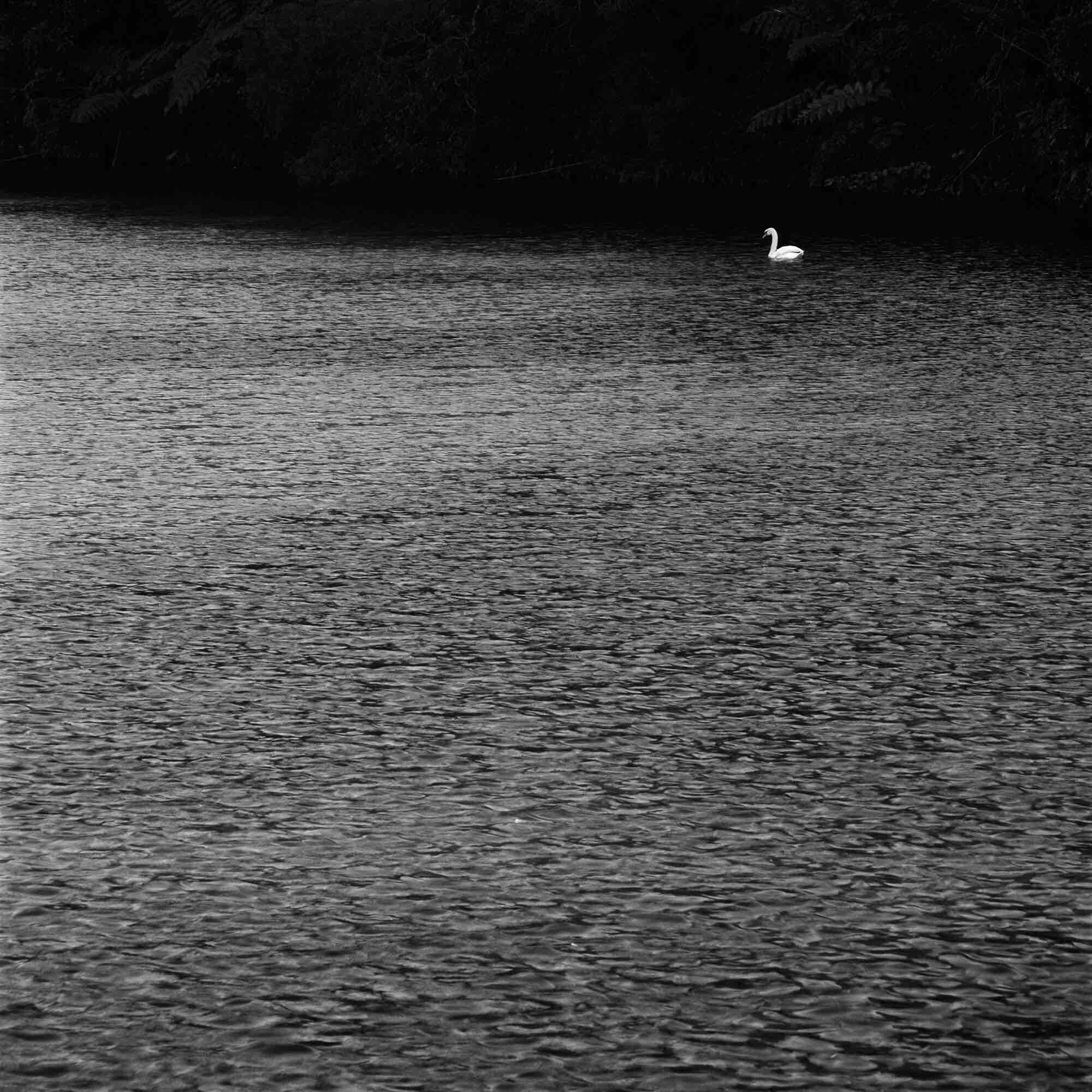 7 Φεβρουαρίου 2026 Κάρτα Ημέρας: Το μήνυμα της εσωτερικής μεταμόρφωσης που αλλάζει τα πάντα