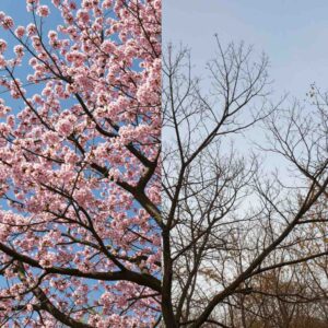 30 Μαρτίου 2026 Ποια Ναι και Ποια Όχι Θα Καθορίσουν τη Μοίρα σου: Ο Απόλυτος Οδηγός για Σωστές Επιλογές