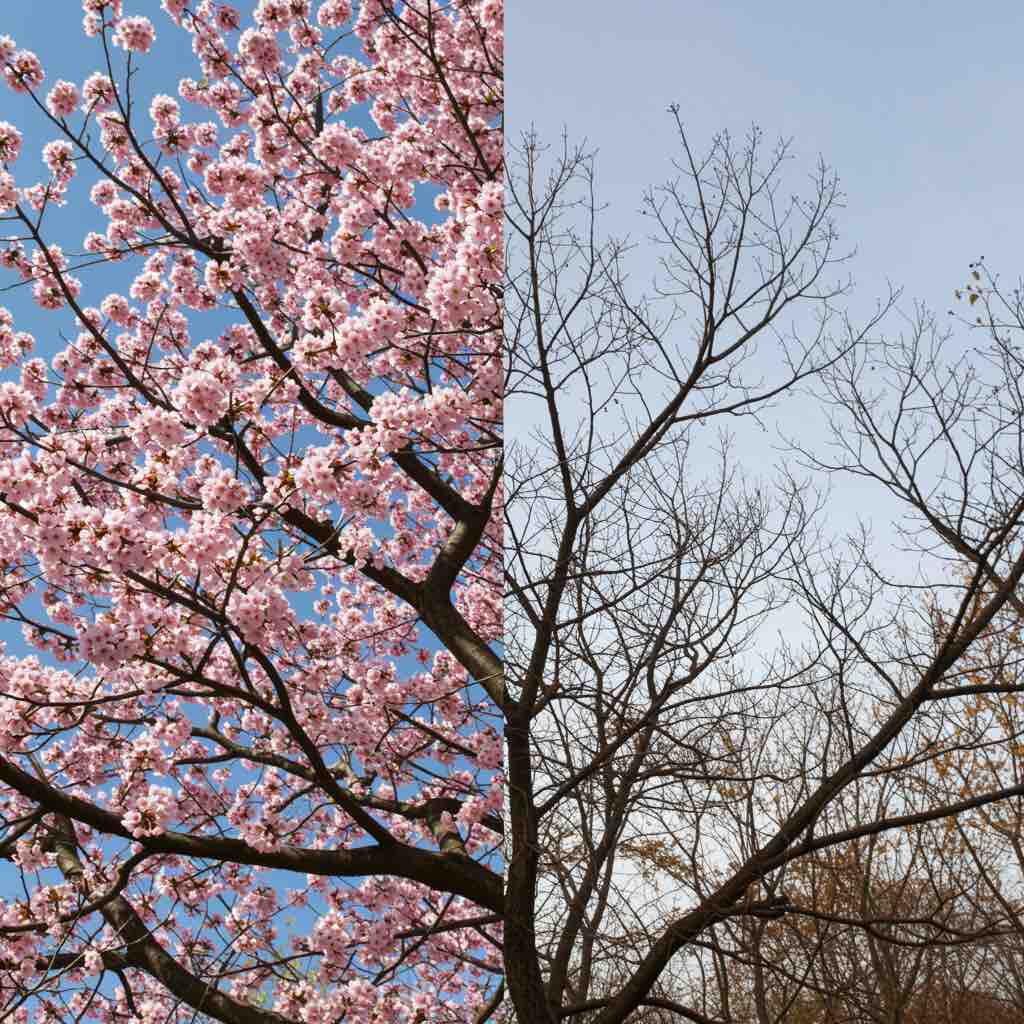 30 Μαρτίου 2026 Ποια Ναι και Ποια Όχι Θα Καθορίσουν τη Μοίρα σου: Ο Απόλυτος Οδηγός για Σωστές Επιλογές