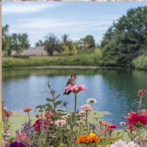 24 Απριλίου 2026 Ημερήσιο Ωροσκόπιο: Ποια ζώδια δοκιμάζονται και ποια κάνουν το μεγάλο βήμα σήμερα